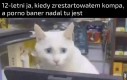Rodzice będą zachwyceni