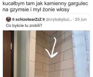 Całkiem rozsądny pomysł