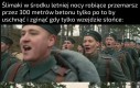W sumie to pomrowiki więc nawet ich nie szkoda