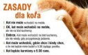 Zasady dla kota