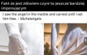 Żółwik