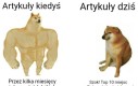 Dziennikarstwo leży i kwiczy