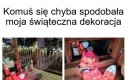 Ciekawski lisek