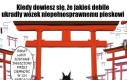 Ludzkość musi upaść
