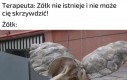 To w Czarnobylu są żółwie?