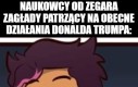 On jest dopiero miesiąc na stołku... Ja idę po popcorn