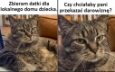 W razie czego jeszcze kilka się znajdzie