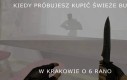 Smog wawelski