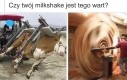 Chłopie, ty się zastanów