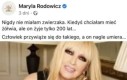 Śpieszmy się kochać żółwie, tak szybko odchodzą