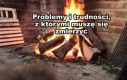 Haha śmieszny kotek