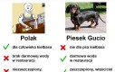 Widać kto ma lepiej