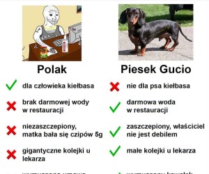 Widać kto ma lepiej