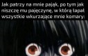 Niektóre osoby są niewdzięcznikami