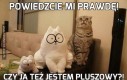 Powiedzcie mi prawdę!