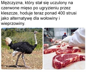 Człowiek z zasadami