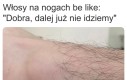 Granica owłosienia