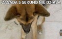 Szybszy niż światło i dźwięk razem wzięte