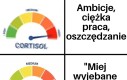 Jedyna słuszna filozofia