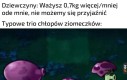 Prawdziwe