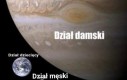I weź coś kup do ubrania