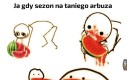 Kocham arbuza
