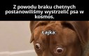 Że co?