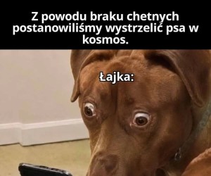 Że co?