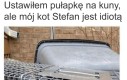 I tak go kocham