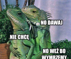 No weź