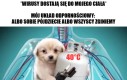 Ekstremalne metody