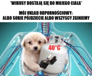 Ekstremalne metody