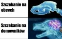 Tak już z nimi jest