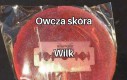 Podstęp