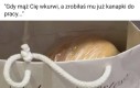 Ano szkoda