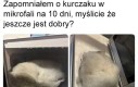 Wyczyn