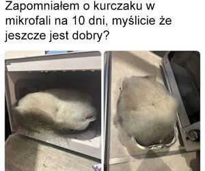 Wyczyn