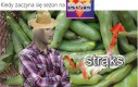 I prawidłowo