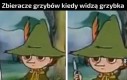 No to borowik idzie do koszyczka