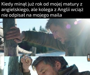 Kolego z Anglii czemu