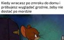 Lepiej ze mną nie zadzierać