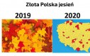 Złota Polska jesień