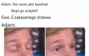 Ale świetny owoc!