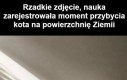 A więc tak to wygląda