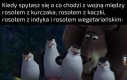 Wojna Rosołowa
