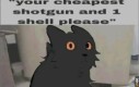 Expie posting