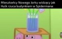 Ide dziś na pająkoczłowiek całkiem nowy dzień