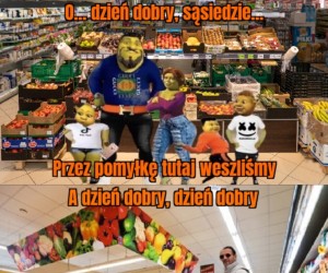 Shrek 5: Wilanów