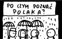 Po czym poznać Polaka?