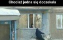 Książę na białym koniu